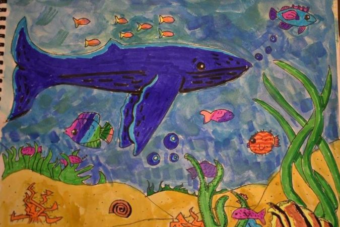 Student's drawing of a whale